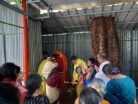 Shri Chitrapur Math Bengaluru: Vardhanti at Nagadevata, Annamma, Chamunda, and Marikamba Sannidhi-s (14 Jan 2025) 